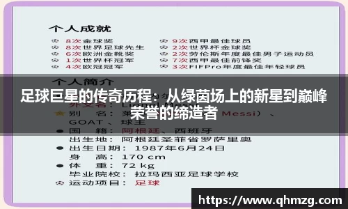 完美体育在线入口官网
