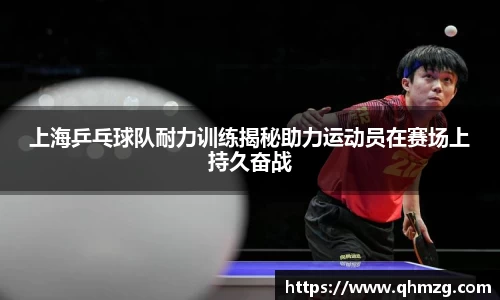 完美体育